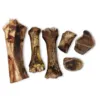 Bison Bones