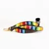 Rainbow Lead